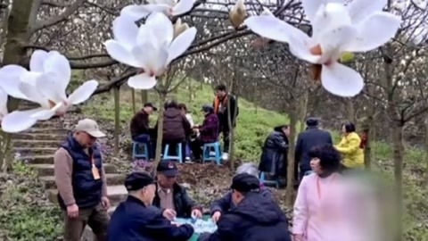 经典传奇 那些穿越千年的游戏 麻将的前生今世