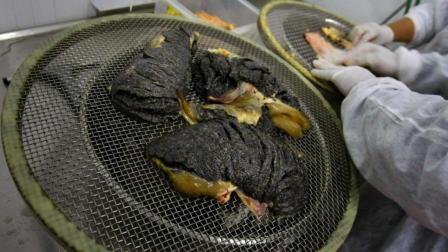 半岛奇闻 欧洲土豪最爱食物  一斤卖8万被称作黑黄金！