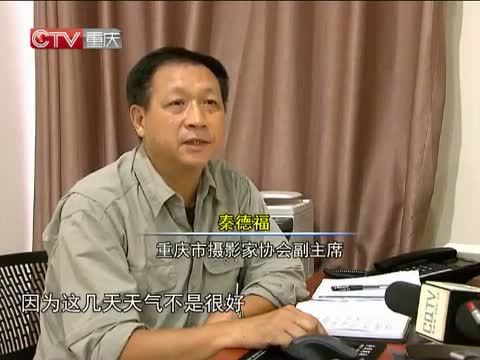重庆新闻联播 《重庆新闻联播》 20141007