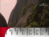 动物世界 《动物世界》 20171030 狮子与水牛的碰撞
