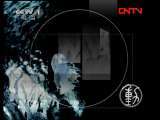 动物世界 《动物世界》 20110909