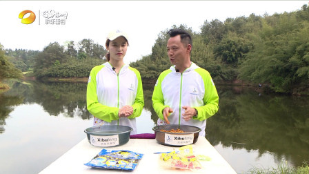 就这样钓鱼：夏季野钓鲤鱼，如何选位才不空军