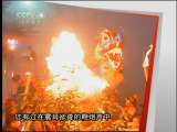 远方的家 百龙舞宾阳