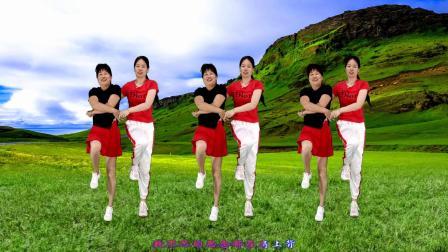 动感DJ，双人舞《天生一对》居家健身广场舞