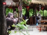 为你而歌 《为你而歌》 20160705 新农村建设的先锋——房山区周口店镇黄山店村党支部书记 村委会主任 张进刚