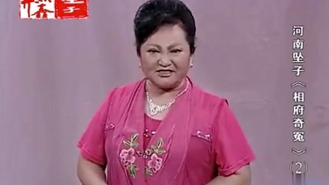河南坠子 河南坠子 相府奇冤 二部