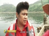 生财有道 《生财有道》 20170731 生态中国系列（沿海行）——长海海鲜夏季财富链