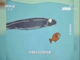 原来如此 《原来如此》 20170903 消除静电