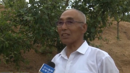 都是夜归人 扎根沃土 绽放最美青春