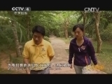 远方的家 江河万里行 第49集 南渡江 南渡江畔的自然日志《远方的家》20140703