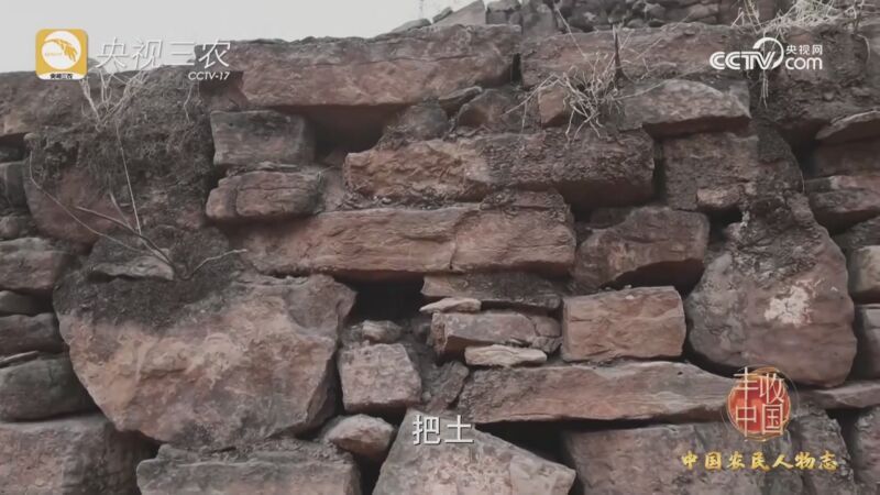 2023丰收中国 [2023丰收中国]中国农民人物志：赵鱼企