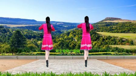 大气动感广场舞《你是我的情哥哥》演示分解