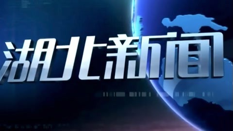 湖北新闻20210511