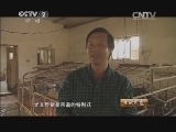 生财有道 《生财有道》 20140227 野猪养殖创造绿色财富