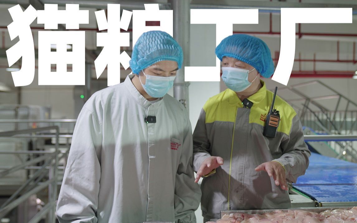 人猫同吃？探访中国出口第一猫粮工厂！