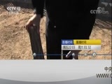 见证 《见证》 20180601 绿剑行动（一）