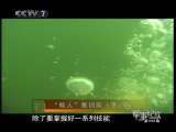 军事纪实 “蛙人”集训队（下）
