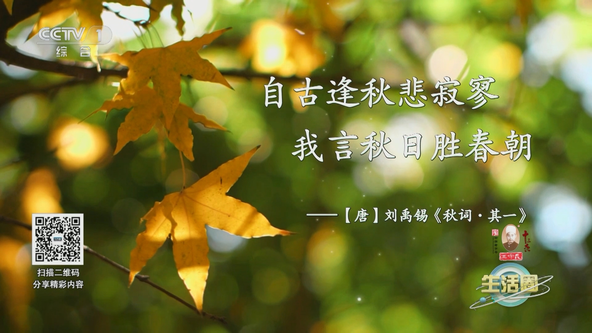 生活圈 《生活圈》 20231017