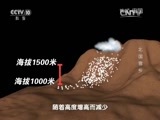 地理中国 《地理中国》 20160208 山河春色·北国雪乡