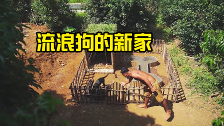 荒野建造者 第二季 荒野捡到两只流浪狗，兄弟俩连夜为狗狗打造新家，狗狗高兴坏了