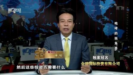 解码财商 咆哮的独角兽 161128