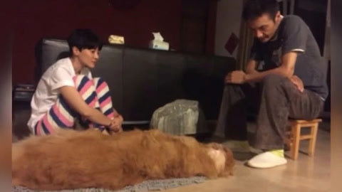 屏行星乐汇 照片却让人伤心；共同陪伴爱犬离去