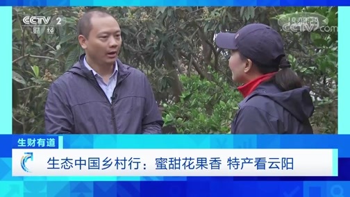 生财有道 《生财有道》 20191213 生态中国乡村行：蜜甜花果香 特产看云阳
