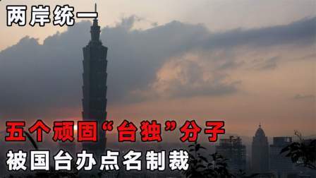史记文学社第三季 五个顽固“台独”分子，被点名制裁，他们均受到什么处分