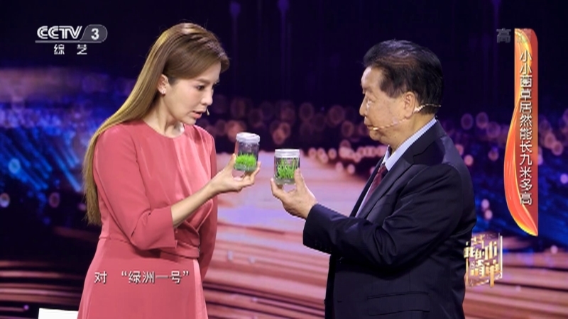 《我的艺术清单》 20210325 林占熺
