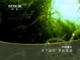 地理中国 《地理中国》 20150704 水下谜团·旱地奇湖