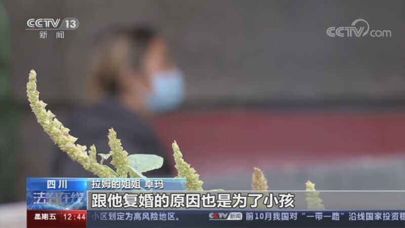 法治在线 《法治在线》 20201120