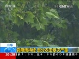 东方时空 《东方时空》 20170717