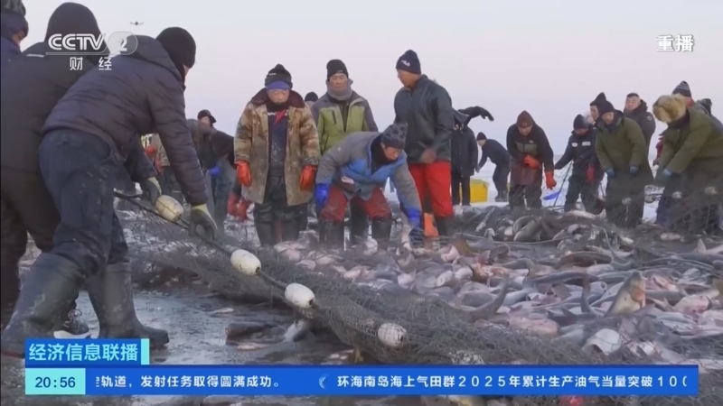 经济信息联播 《经济信息联播》 20251230