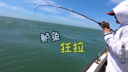 阿杰凌晨四点出发海钓，鲈鱼饿疯了疯狂咬钩，直接把活鱼仓给爆了