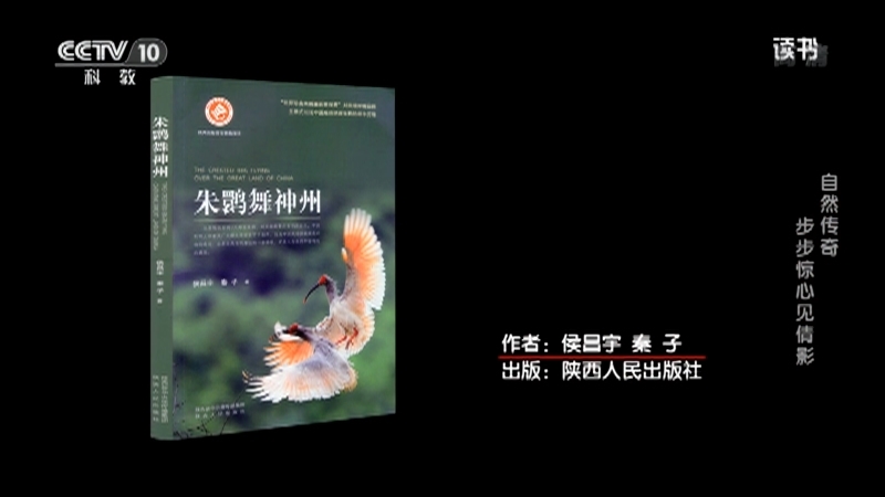 《读书》 20210319 侯昌宇/秦子 《朱鹮舞神州》 自然传奇——步步惊心见倩影