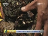 生财有道 《生财有道》 20160809 生态中国系列（沿海行）——走进河北乐亭