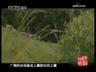 民歌&middot;中国 花儿的家乡 3