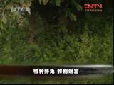 生财有道 《生财有道》 20110723