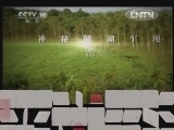 地理中国 《地理中国》 20120820 圆湖里的秘密