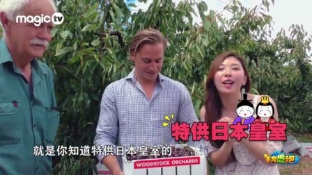 东奔悉跑 第一季 斯马尼亚绝美味之大樱桃 13