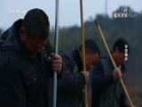 探索发现 《探索发现》 20180127 密室藏珍
