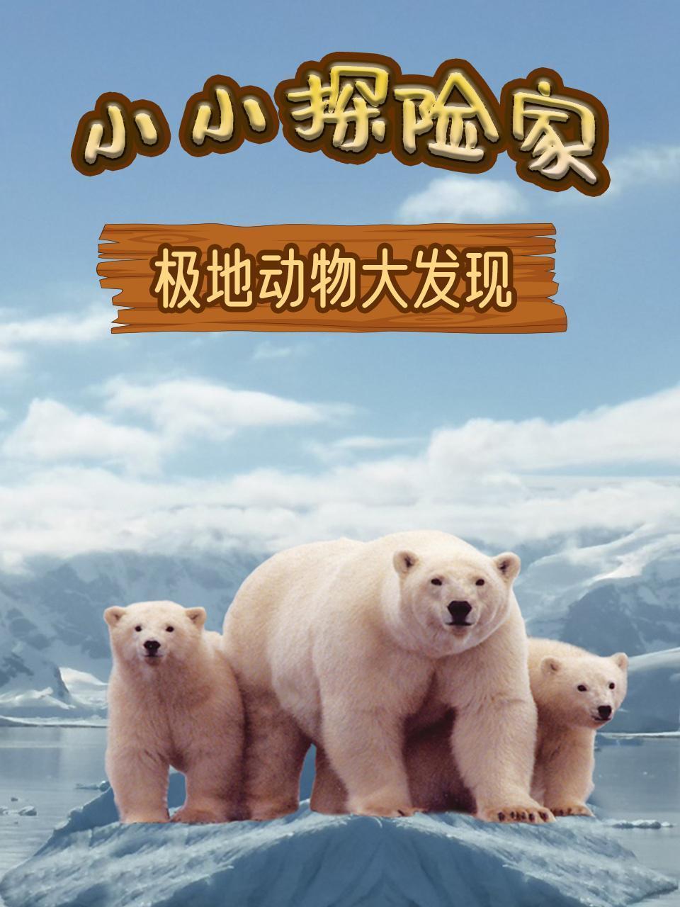 小小探险家之极地动物大发现