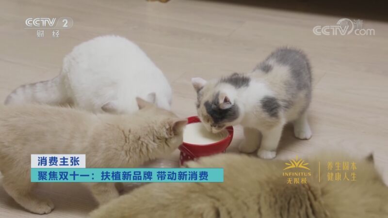 消费主张 《消费主张》 20201110 聚焦双十一：扶植新品牌 带动新消费