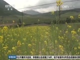 体育新闻 [体育新闻]完整版 20170724