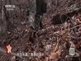道德观察 《道德观察（日播版）》 20180802 八一特别节目—军功章的背后 大山里的夫妻哨