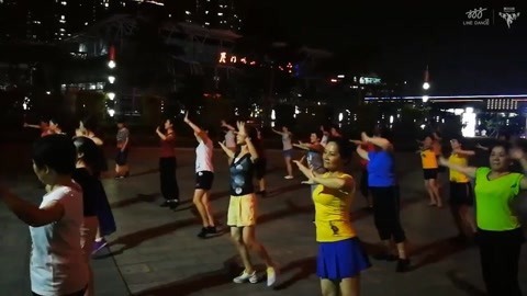 广场舞 广场舞《乡村发烧友》