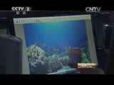 消费主张 《消费主张》 20150428 家居换装正当时——选购壁纸技巧多
