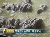 消费主张 《消费主张》 20180126 冬季滋补汤攻略：中原肥汤
