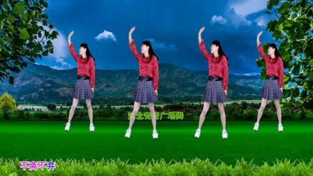 经典神曲DJ广场舞《小苹果》动感16步