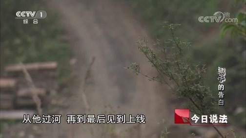 今日说法 《今日说法》 20190115 “骡子”的告白